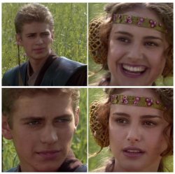 0777 / Anakin Padme Meme 第 1 张参考图