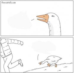 0790 / Angry goose 第 1 张参考图