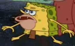0798 / Spongegar 第 1 张参考图