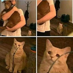 0811 / Sad Cat Holding Dog 第 1 张参考图