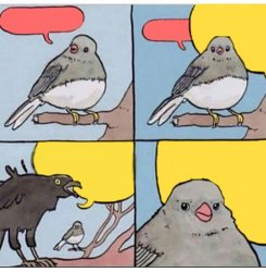 0816 / annoyed bird 第 1 张参考图