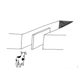 0872 / The illusion of free choice blank 第 1 张参考图