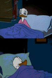 0886 / sleepy donald duck in bed 第 1 张参考图