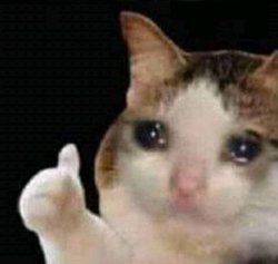 0889 / sad thumbs up cat 第 1 张参考图