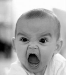 0893 / Angry Baby 第 1 张参考图