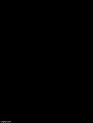 0905 / Double Long Black Template 第 1 张参考图