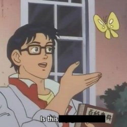 0913 / Is This A blank 第 1 张参考图