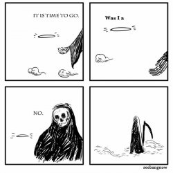 0952 / was i a good meme 第 1 张参考图
