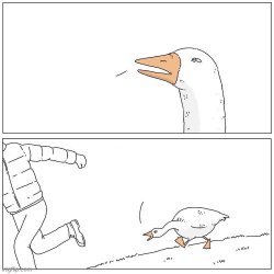 0962 / Goose Chase 第 1 张参考图