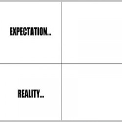 0982 / Expectation vs Reality 第 1 张参考图