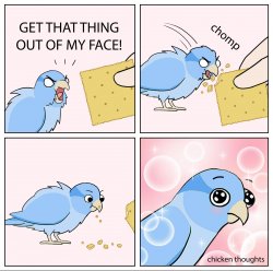 0992 / Bird Cracker 第 1 张参考图